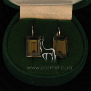 Earrings 98937 si rauch