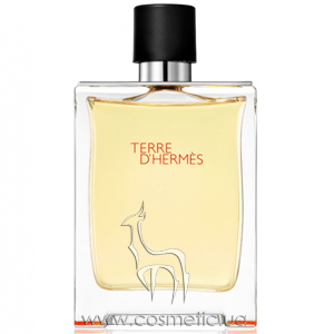 Terre D'Hermes edt