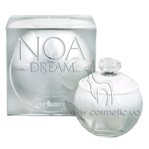 Noa Dream