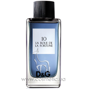 D&G La Roue de La Fortune 10
