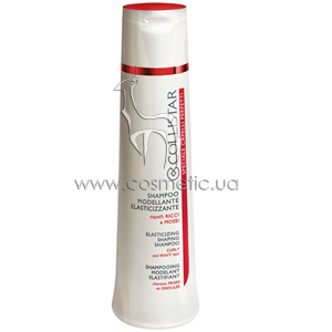 Elasticizing Shaping Shampoo