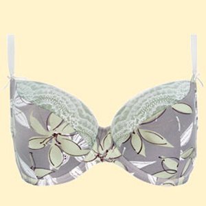Orchid bp 121