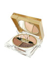 Divinora Radiant Colour Palette 4 shades
