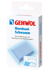 Hornhaut - Schwamm