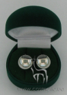 Earrings 98008 si