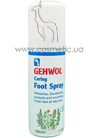 Caring Foot Spray