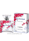 Cyclades