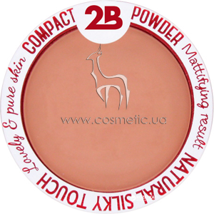 ����� ��� ���� 2B Natural Silky Touch Compact Powder