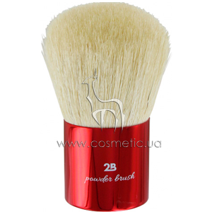 ����� ��� ����� 2B Powder Brush