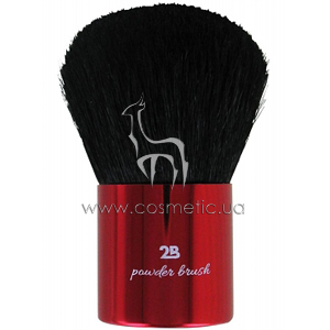 ����� ��� ����� ������� 2B Powder Brush