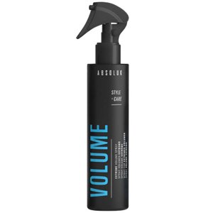 ����� ��� ���� Absoluk Style & Care Extreme Spray