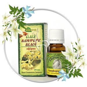 ������� ����� ������� ������� ����� ����� �������