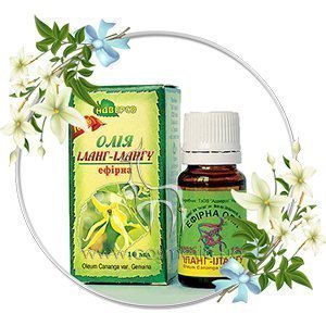 ������� ����� ������� ������� ����� �����-������