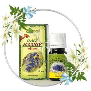 ������� ����� ������� ������� ����� ������