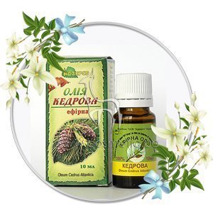 ������� ����� ������� ������� ����� ��������