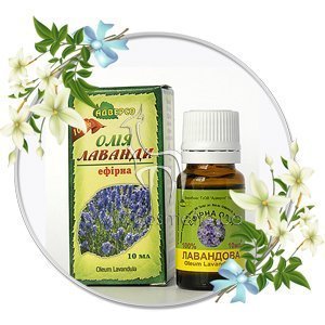 ������� ����� ������� ������� ����� �������