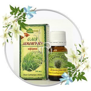 ������� ����� ������� ������� ����� �����������