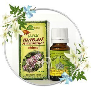 ������� ����� ������� ������� ����� ������ ����������