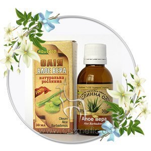 ������������ ����� ������� ����� ���� ����