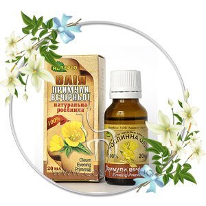 ������������ ����� ������� ����� ������� ��������