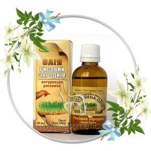 ������������ ����� ������� ����� ��������� ����