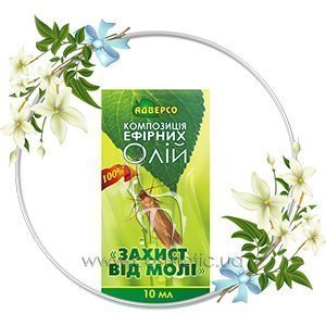 ����� ��� ������ �� ���� ������� ������ �� ����