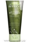 �������������� ���� ��� ������ Alterna Bamboo Luminous Shine Silk-Sleek Brilliance Cream small