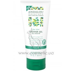 ����������� ���� ��� ���� � ����� � ���� Andalou Naturals Aloe Mint Cooling Shower Gel