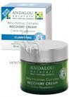 ����������������� ������ ���� Andalou Naturals Claryfying Clear Overnight Recovery Cream small