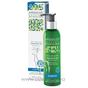 ��������� ���� ������ ������� ��� ���� Andalou Naturals Clarifying Kombucha Cleansing Gel, Citrus