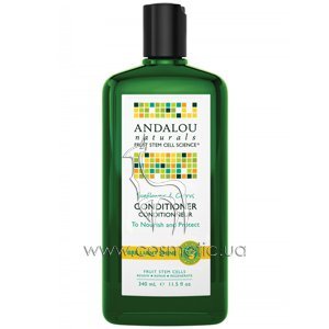 ����������� ��� ������ ����� Andalou Naturals Brilliant Shine Sunflower & Citrus Conditioner
