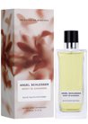 ��������� ���� Angel Schlesser Esprit de Gingembre small
