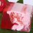 ���� �������� � ���������� ��������� Attirance Flower Soap ��������