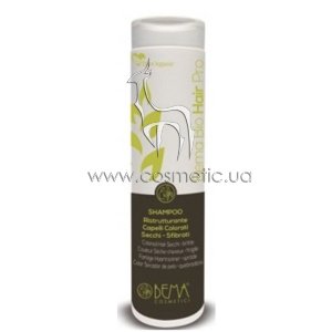 �����������������  ������� ��� ����� Bema Cosmetici Bio Hair Pro Restructuring Shampoo