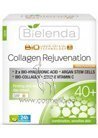 ����������� ������� ���� ������ ������ 40+ Bielenda Biotechnology 7D Collagen Rejuvenation Firming Day �ream SPF 10 small