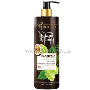 ������� ��� ��������� ����� ������ � ����� Bielenda Botanic Formula Horsetail & Hops Shampoo