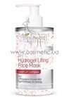������������ ����� ��� ���� 2�1 Bielenda Professional Face Program Lifting Hydrogel Face Mask 2in1 small