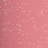 ����� ��� ��� Bourjois 3D Effet Max Gloss # 14 - ������-�������