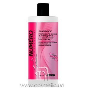 ������� ��� ������ ����� ����� Brelil Numero Colour Protection Shampoo