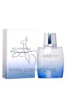��������� ���� Burberry Summer Men 2009 small