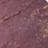 ���� ���������� ���������� Cinecitta Make Up Burned Eyeshadow #8 �������� ���������
