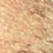 ���� ���������� ���������� Cinecitta Make Up Burned Eyeshadow #9 ������� ���������