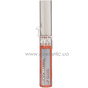 ����� ��� ��� Cinecitta Make Up Lip Gloss
