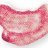������������� ����� ��� ��� Collistar Extra-Gloss #15 Peony