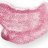 �����-�������� ��� ��� Collistar Extra-Gloss Hologram #25 Cyclamen