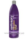 ����������� ������� ��� ������������� �������� Concept Blond Explosion Shampoo small