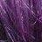 ������� ������������ Concept Color Lacer ����������