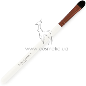 ����� ��� ���������� Couleur Caramel Signature Corrector Brush �47