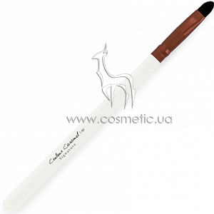 �������� ������� ����� ��� ����� Couleur Caramel Signature Eye Brush �46