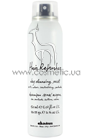 ����� ������� ��� �������� ����� Davines HR Hair Refresher small